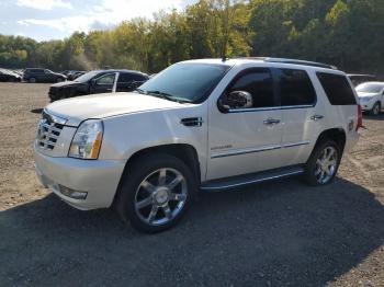  Salvage Cadillac Escalade