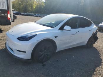  Salvage Tesla Model Y