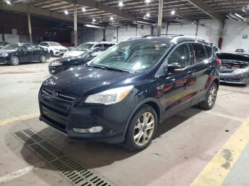 Salvage Ford Escape