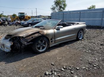  Salvage Pontiac Firebird