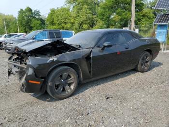  Salvage Dodge Challenger