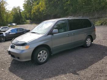  Salvage Honda Odyssey