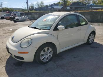  Salvage Volkswagen Beetle