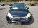 Honda Crv Ex Image 7