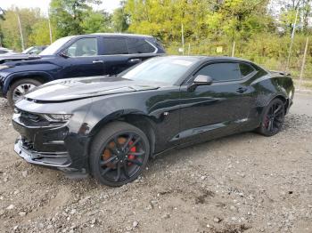  Salvage Chevrolet Camaro