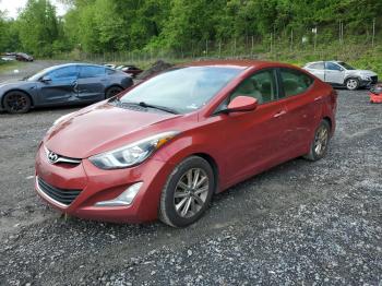  Salvage Hyundai ELANTRA