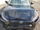 Toyota RAV4 Le Image 14