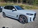 BMW X Series Xdrive50e Image 8