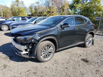  Salvage Lexus NX