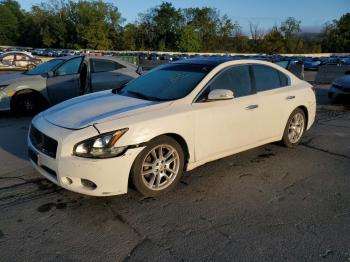  Salvage Nissan Maxima