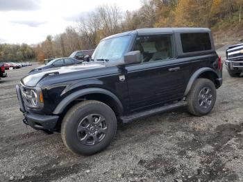  Salvage Ford Bronco