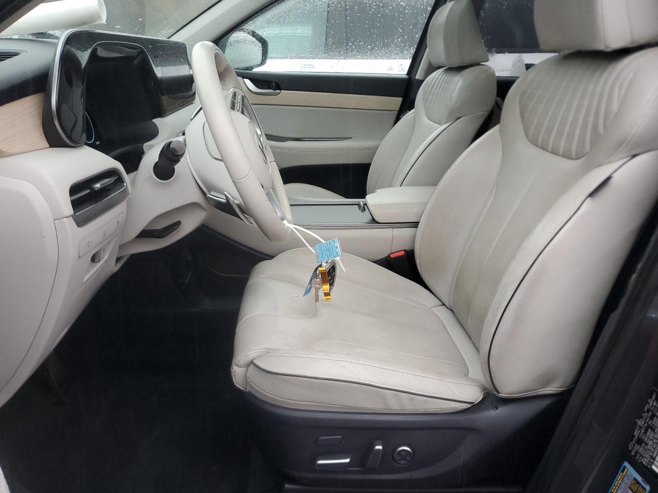 Hyundai PALISADE Limited Image 9