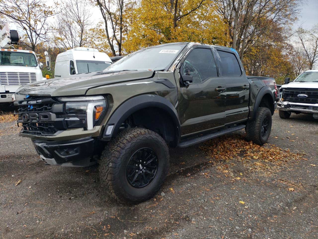 Ford F-150 Raptor Image 1