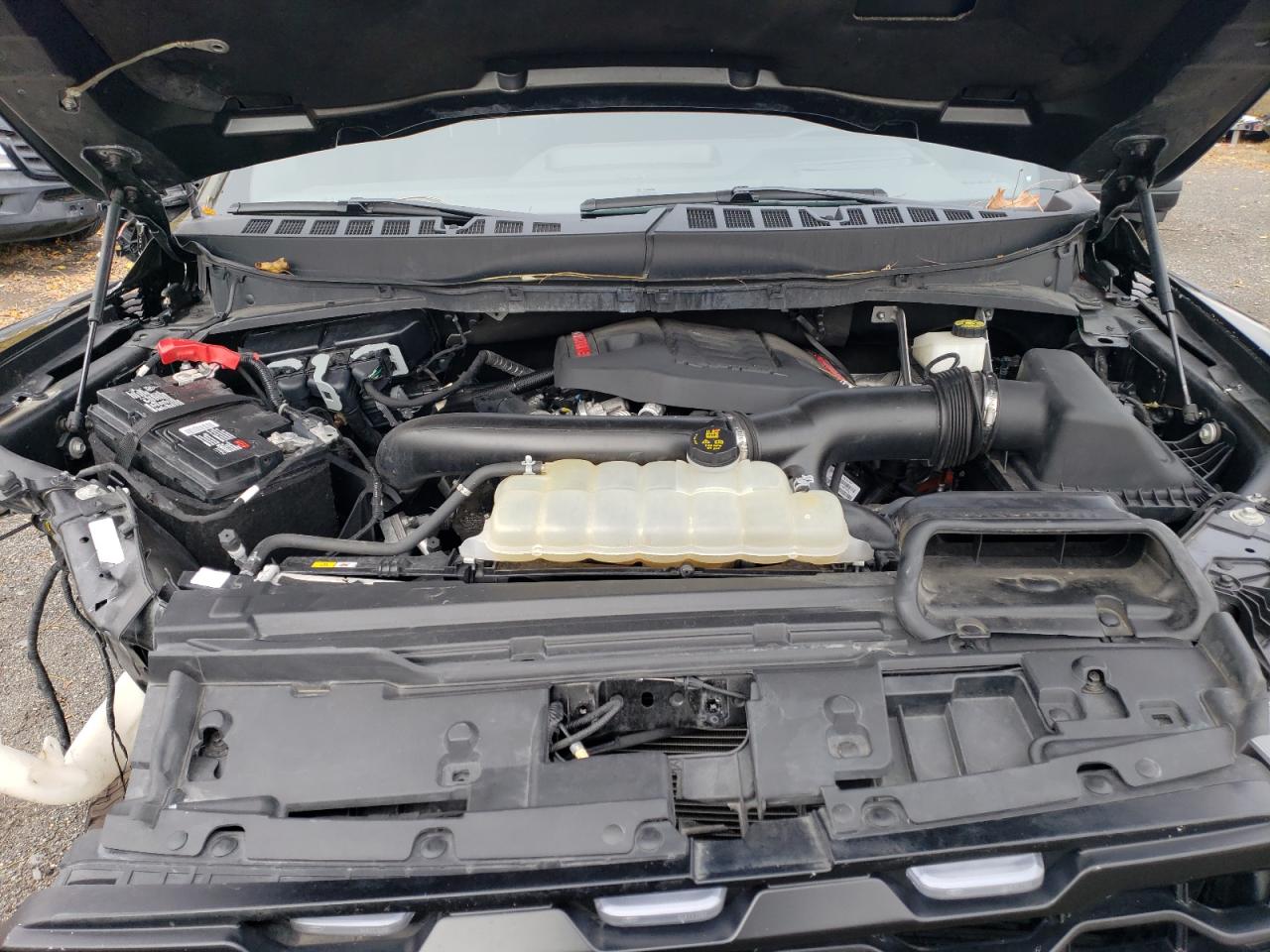 Ford F-150 Raptor Image 12