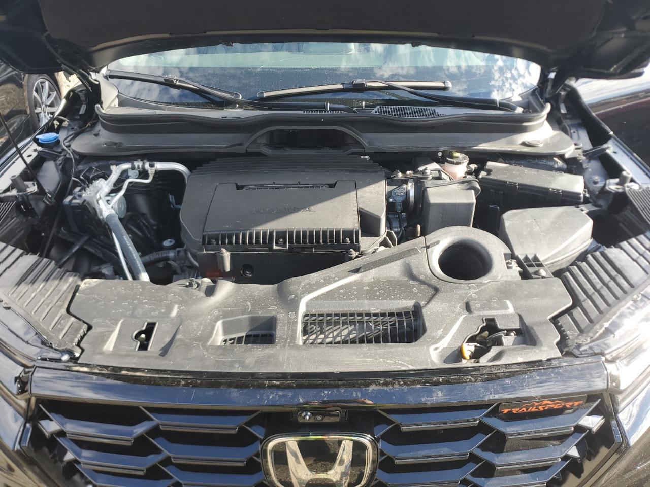 Honda Pilot Trailsport Image 10