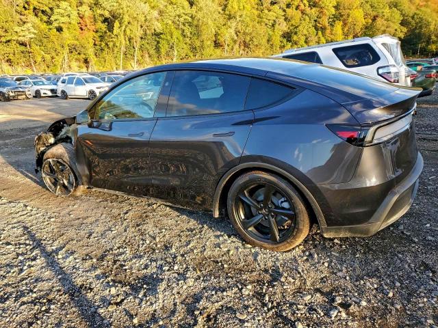 Tesla Model Y Image 13