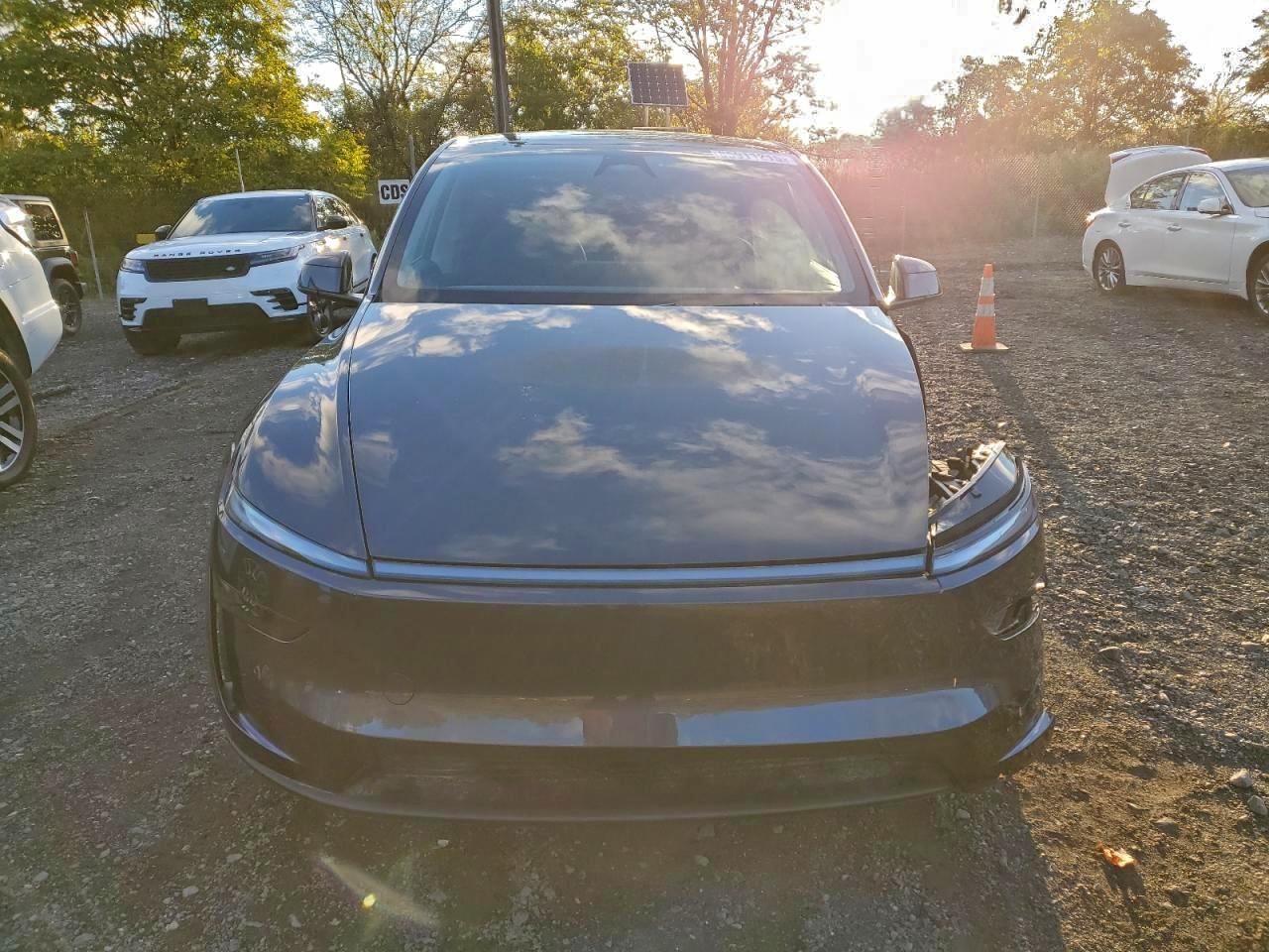 Tesla Model Y Image 12