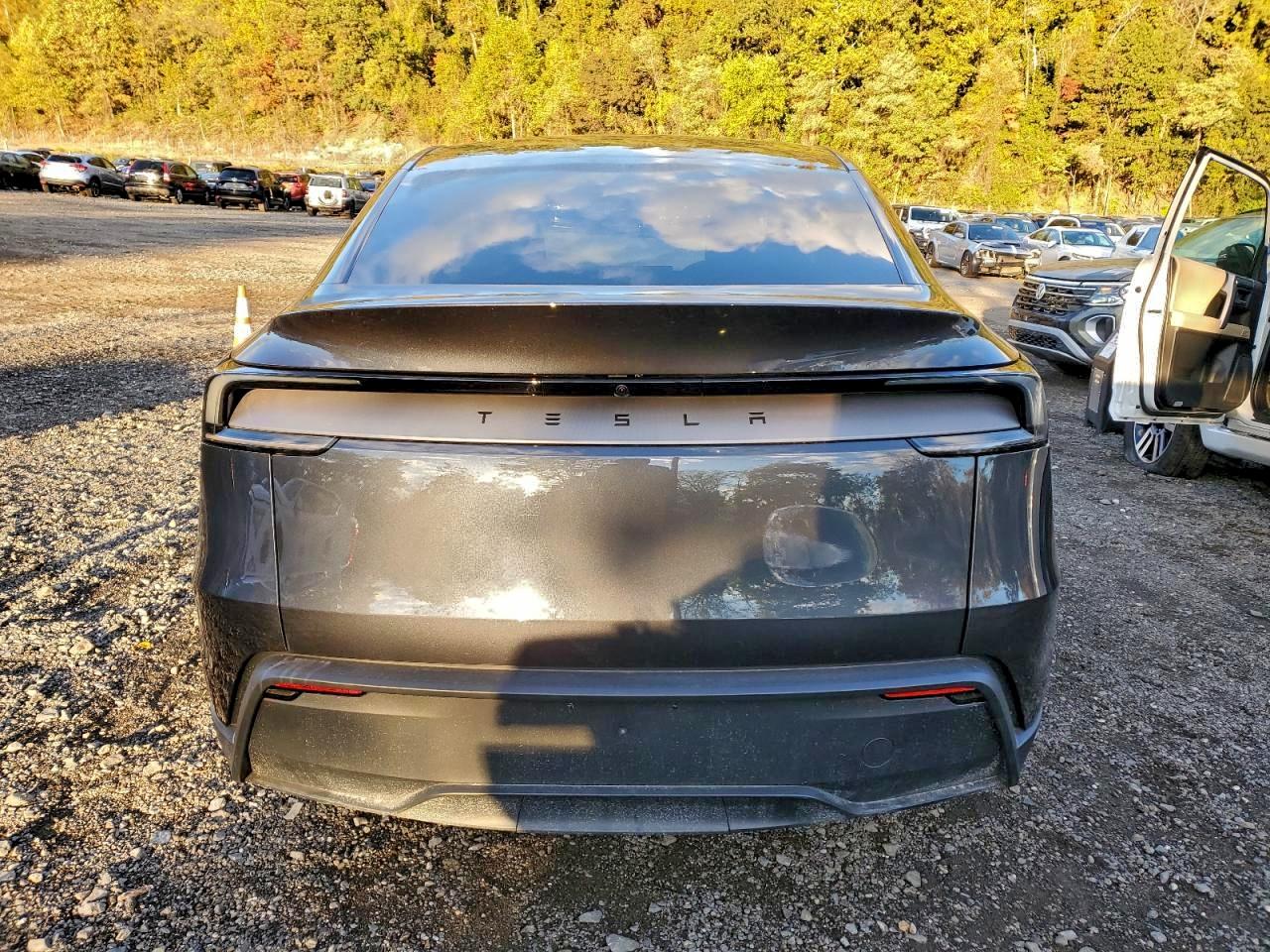 Tesla Model Y Image 9