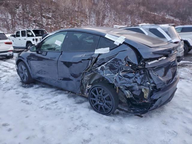 Tesla Model Y Image 4