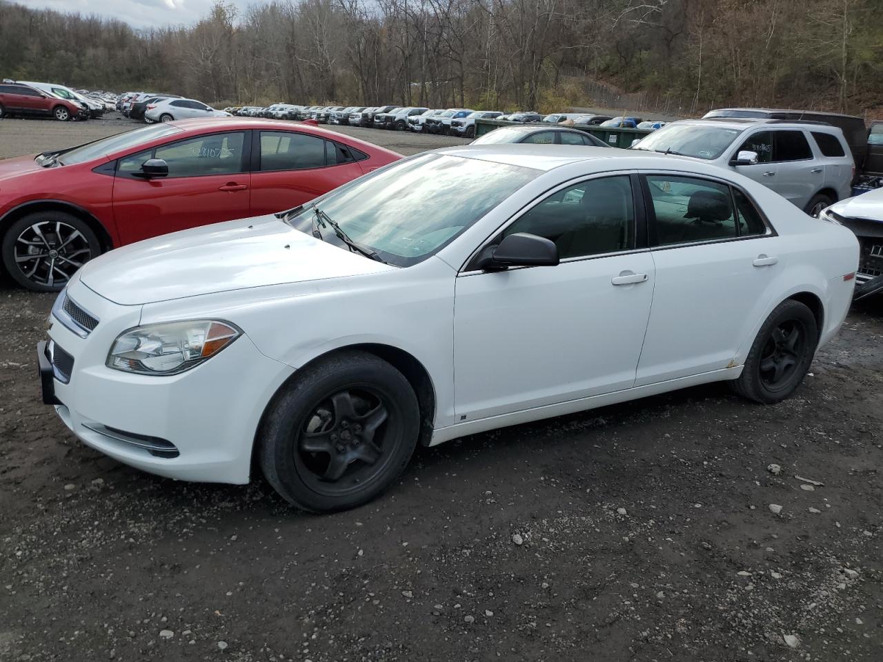 Chevrolet Malibu Ls Image 1