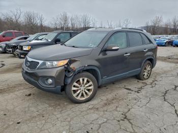  Salvage Kia Sorento