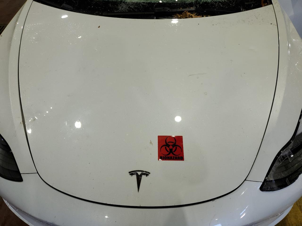 Tesla Model 3 Image 8