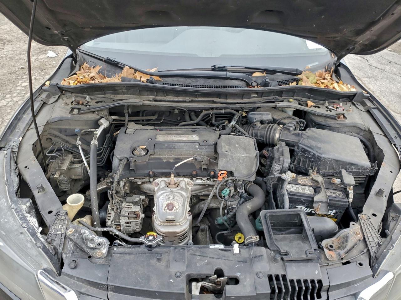 Honda Accord Exl Image 9