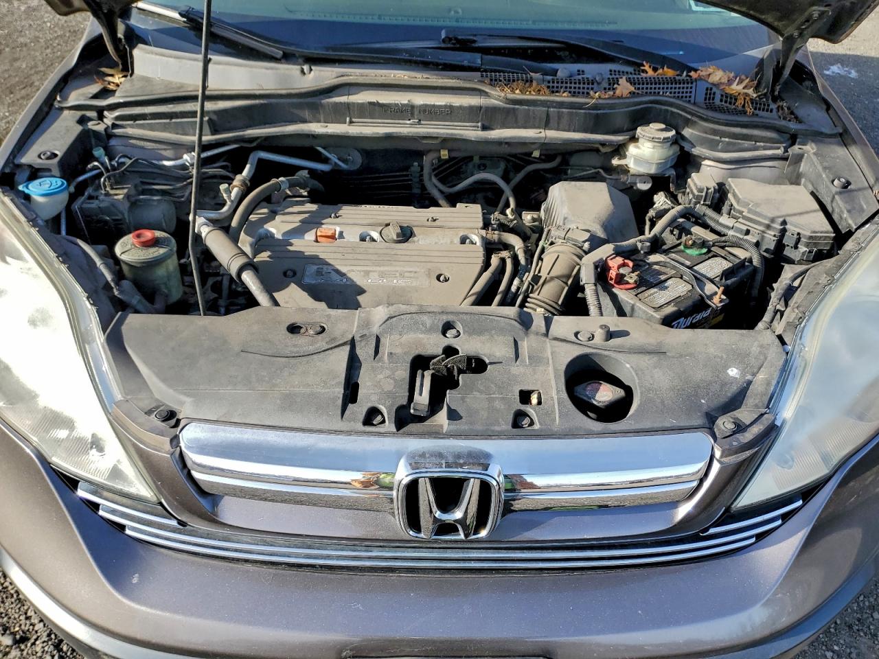 Honda Crv Exl Image 11