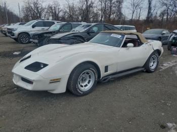  Salvage Chevrolet Corvette