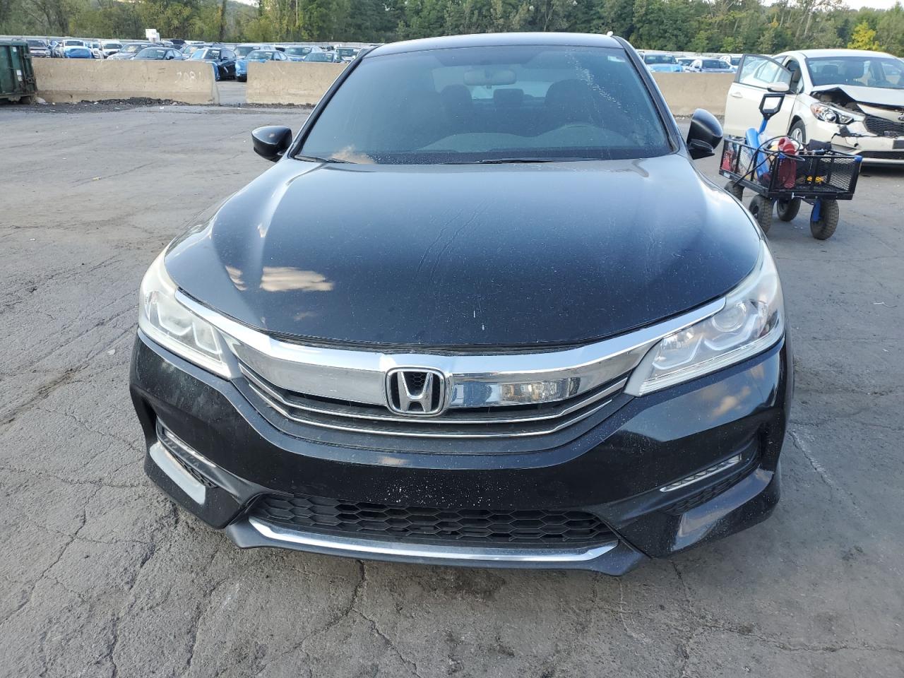 Honda Accord Sport Image 12
