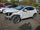 Lexus NX 350h Base Image 1