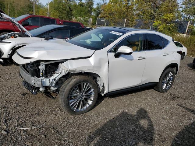  Salvage Lexus NX