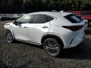 Lexus NX 350h Base Image 2