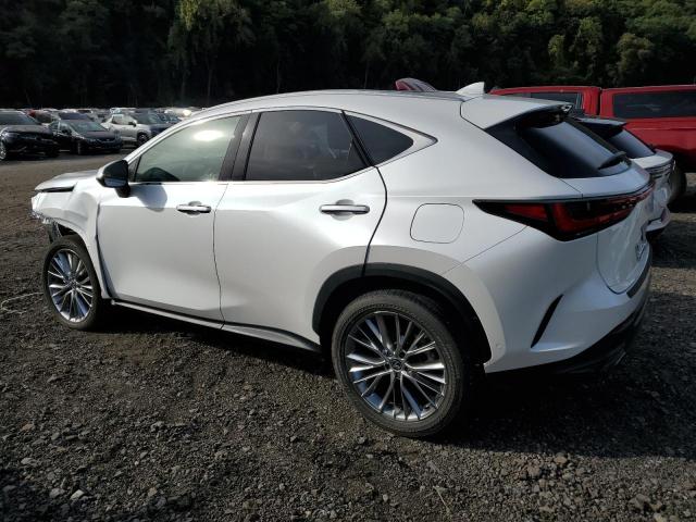 Lexus NX 350h Base Image 2