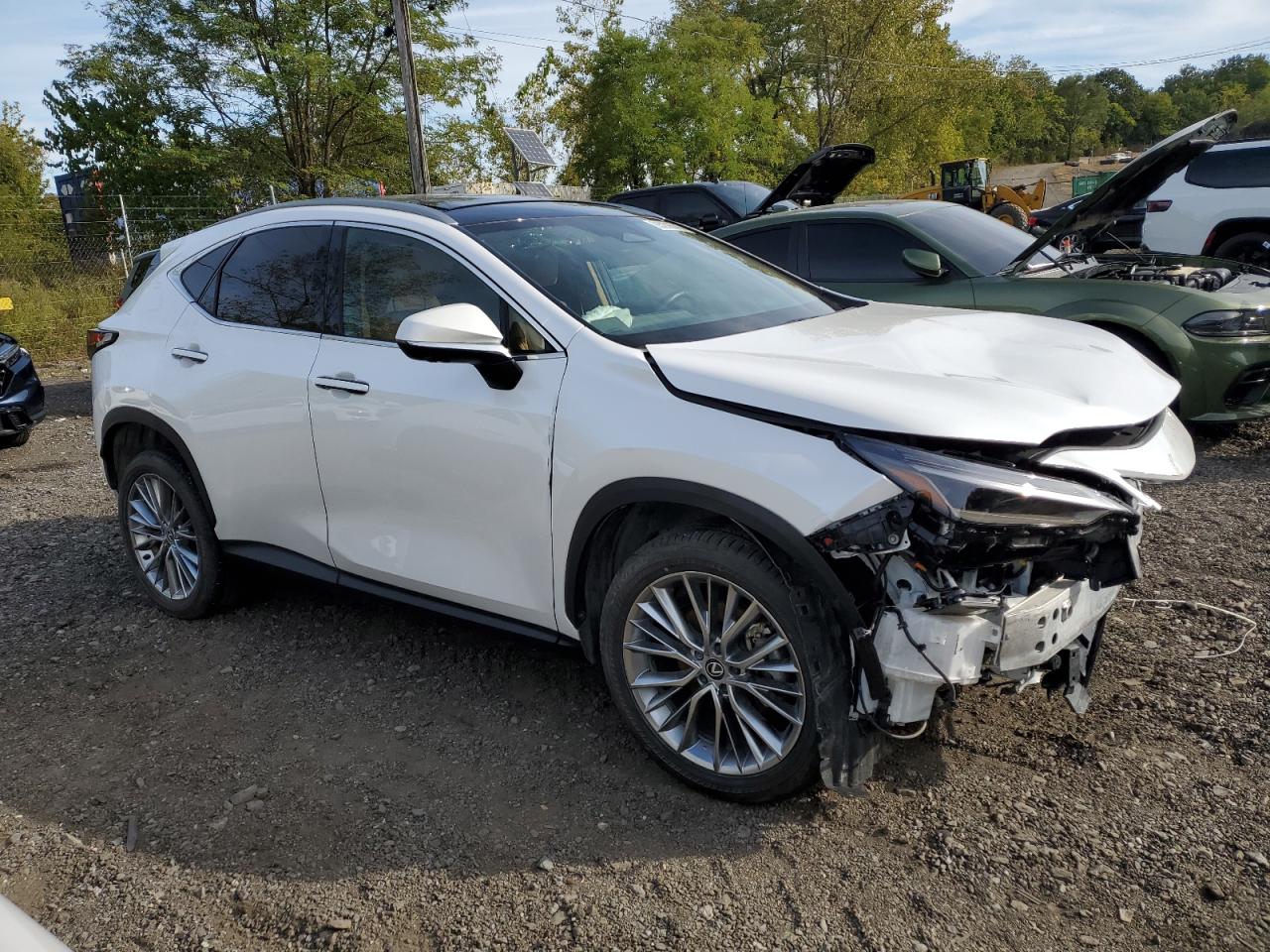 Lexus NX 350h Base Image 6