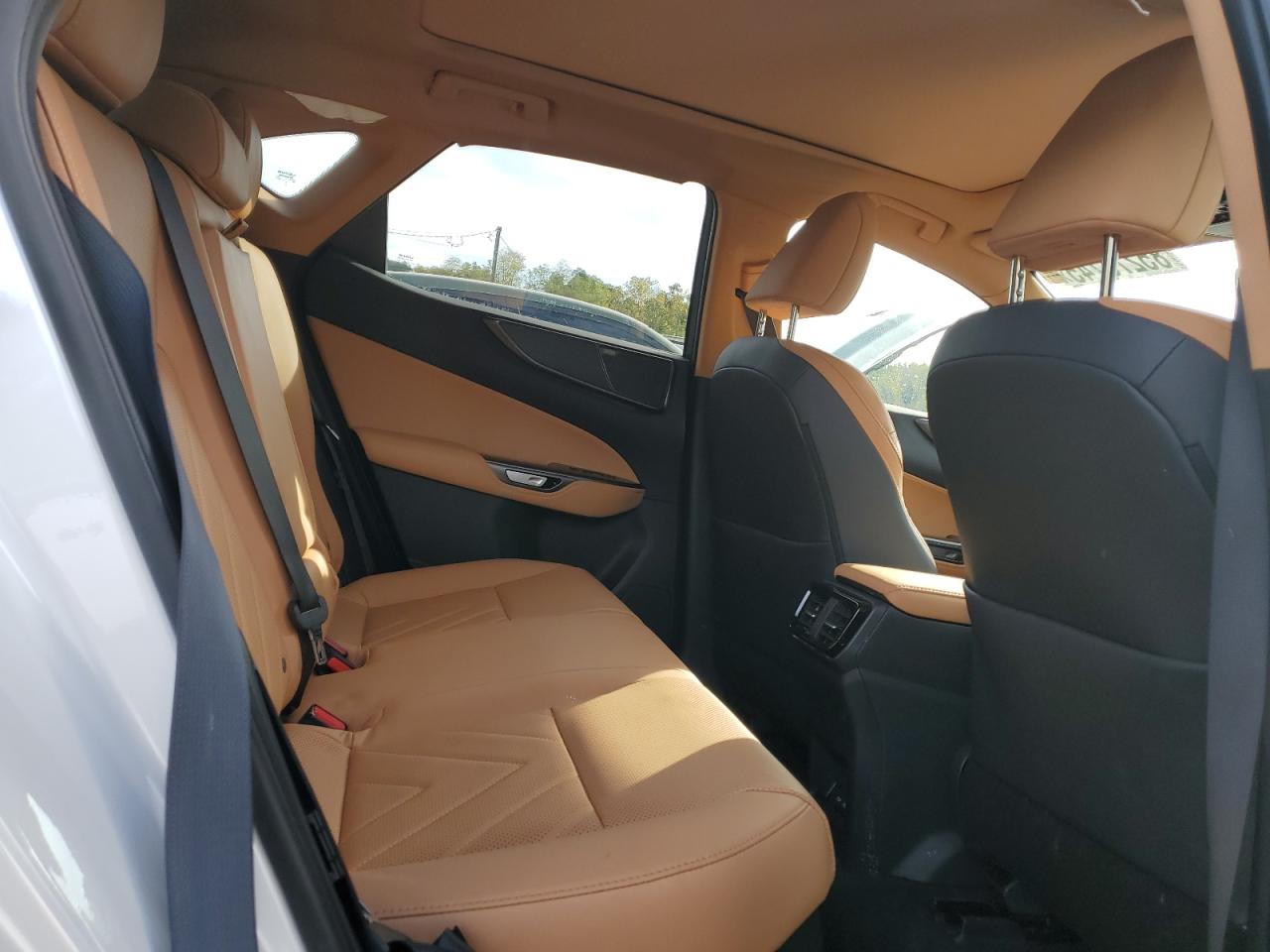 Lexus NX 350h Base Image 12