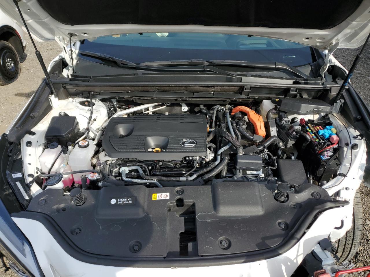 Lexus NX 350h Base Image 10