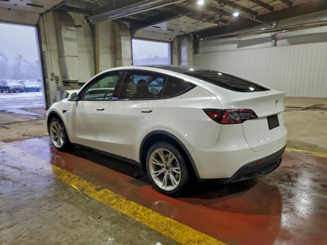 Tesla Model Y Image 2