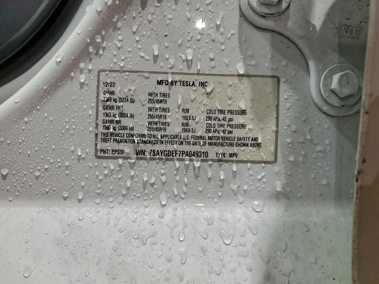 Tesla Model Y Image 8