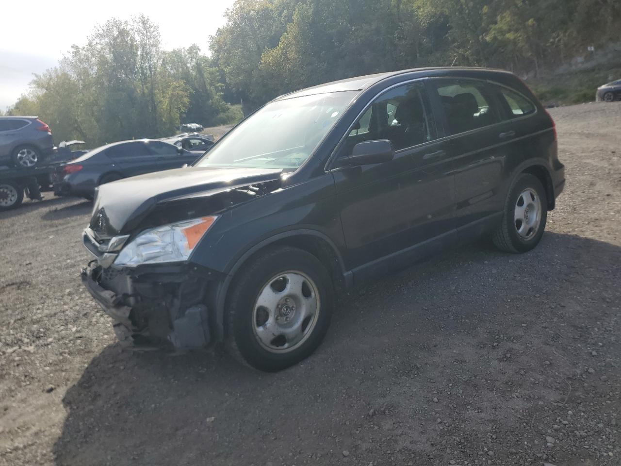 Honda Crv Lx Image 1