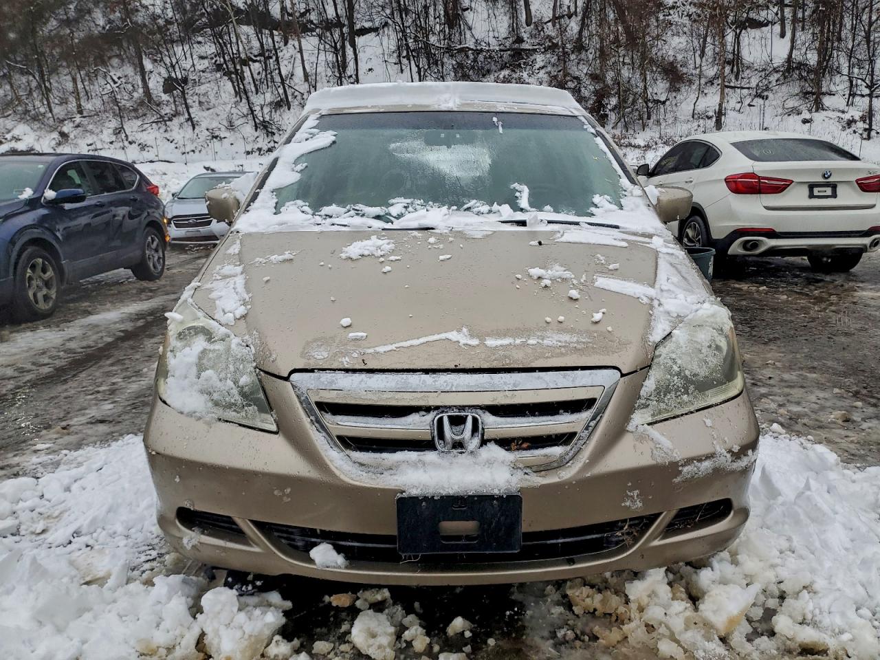 Honda Odyssey Exl Image 6