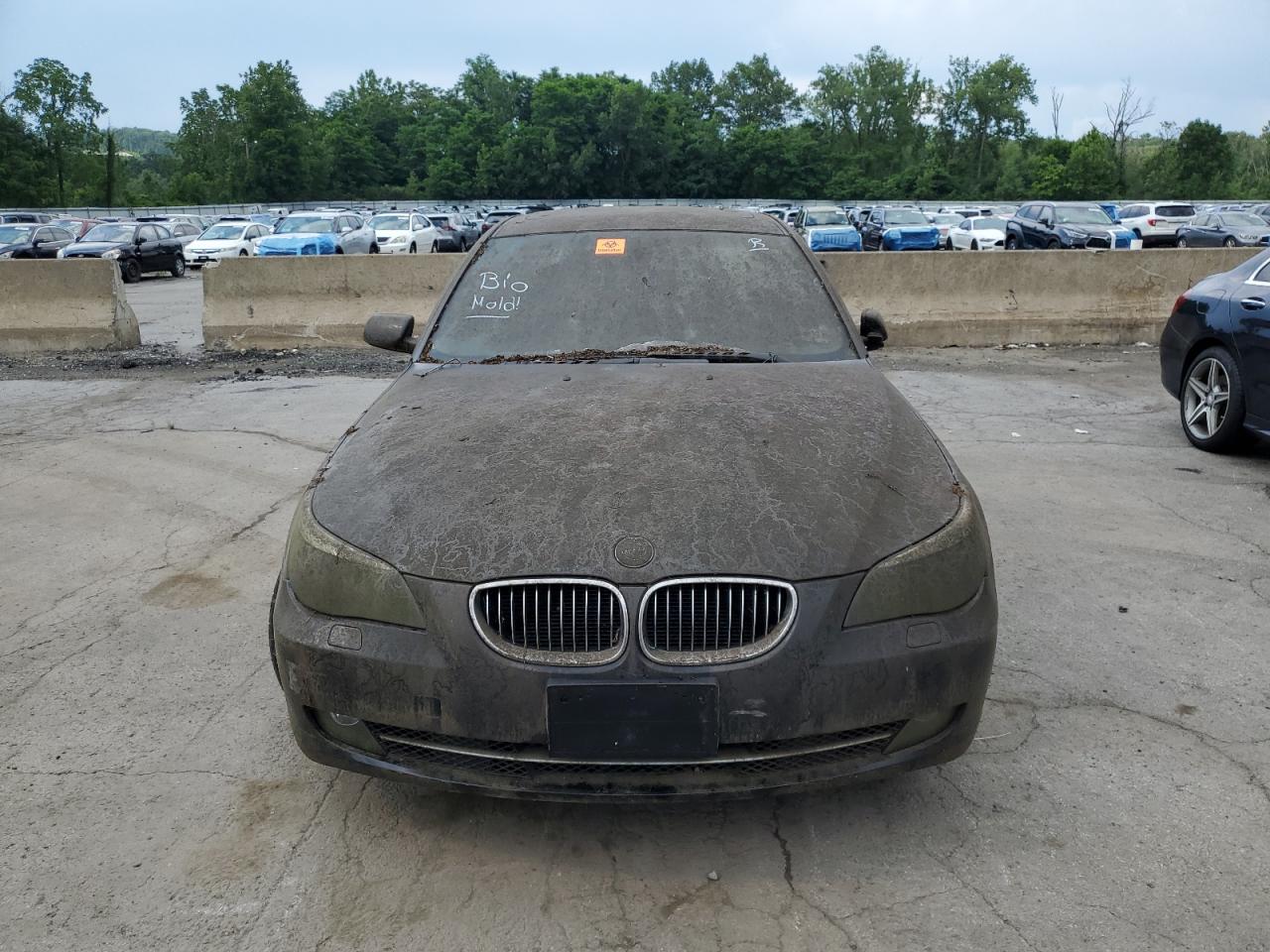 BMW 5 Series Xi Image 4