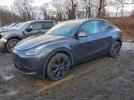 Tesla Model Y Image 1