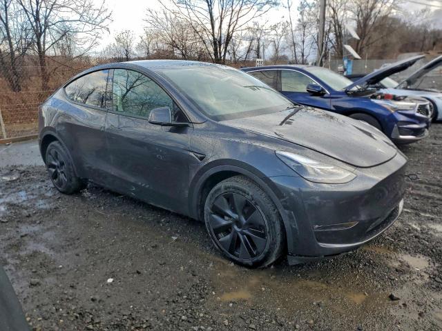 Tesla Model Y Image 2