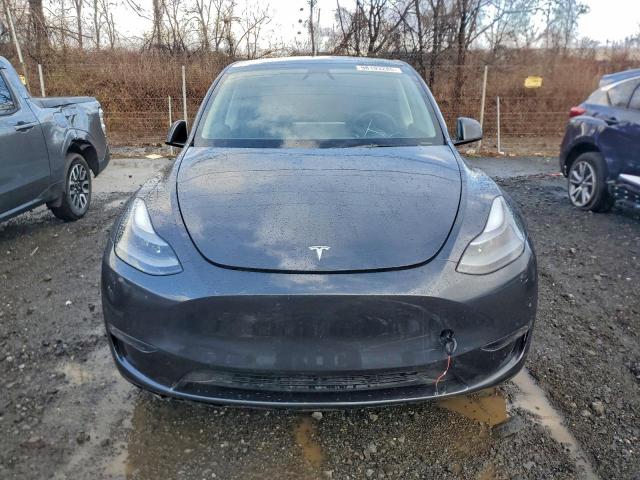 Tesla Model Y Image 9