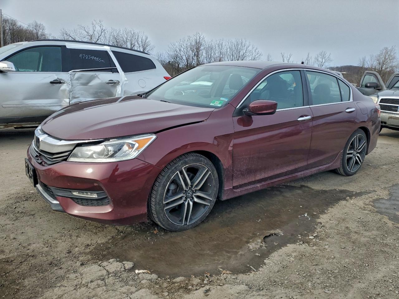 Honda Accord Sport Special Edition Image 1