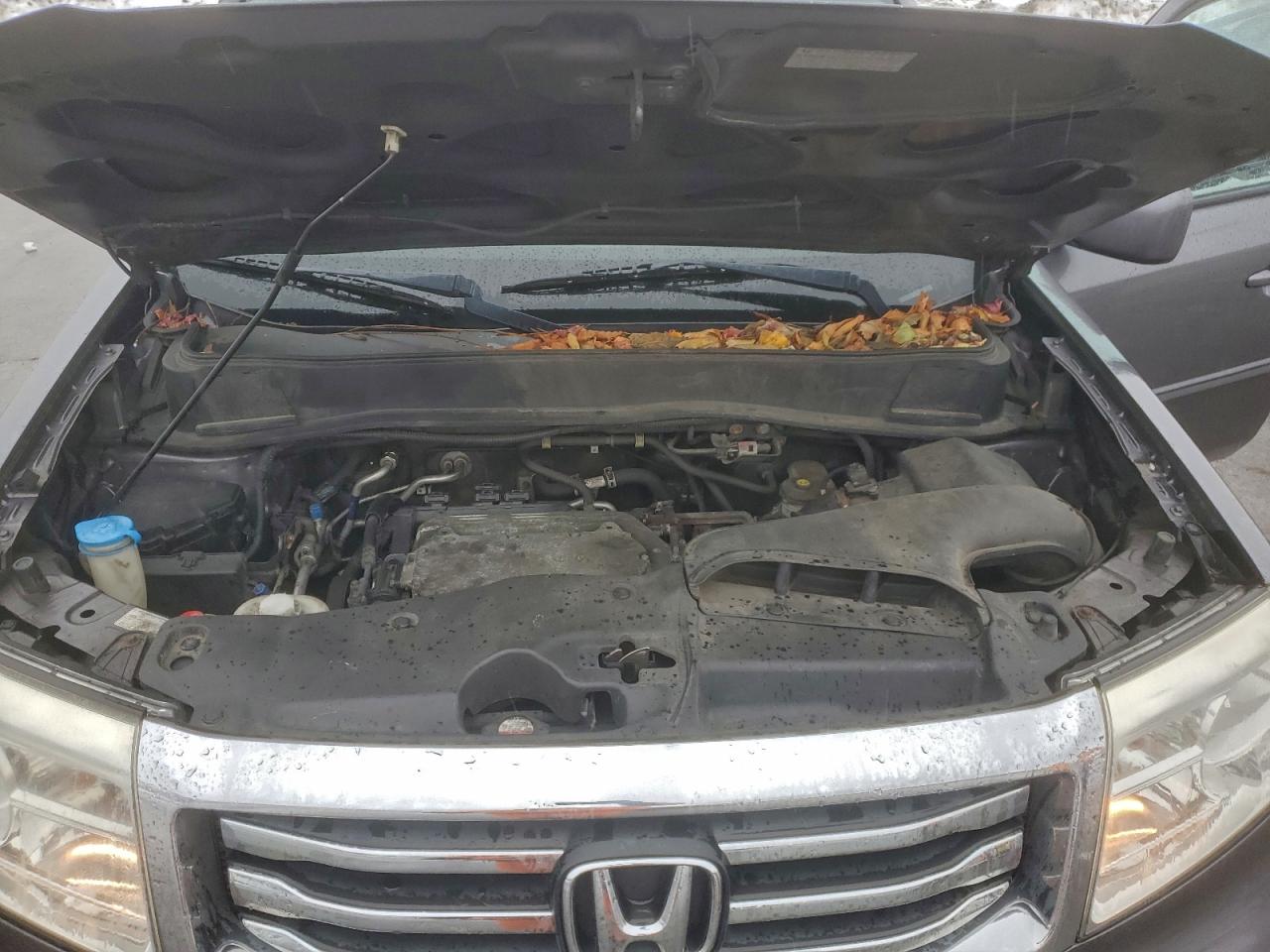 Honda Pilot Se Image 11