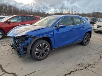  Salvage Lexus Ux