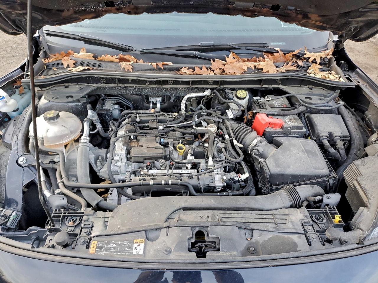 Ford Escape Se Image 9