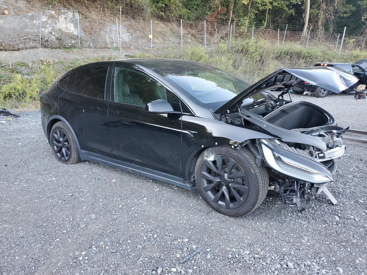 Tesla Model X Image 7